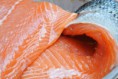 /album/fotogaleria-del-mar/salmon-2-jpg/