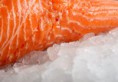 /album/fotogaleria-del-mar/salmon-1-jpg1/