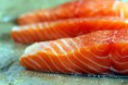 /album/fotogaleria-del-mar/salmon-3-jpg/